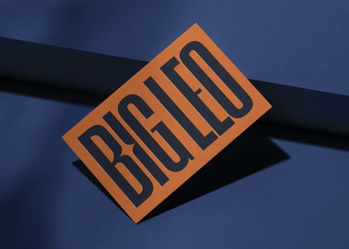 BigLeo-BusinessCard-7×5-1200px